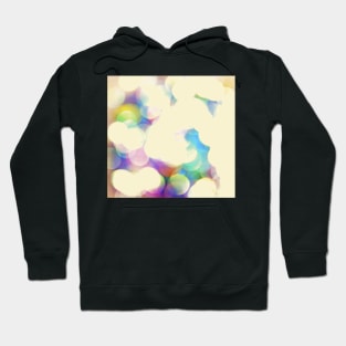 Bokeh Hoodie